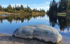 Beautiful Cabin At Lifjell Perfectly Located For Hiking And Skiing With Sauna
